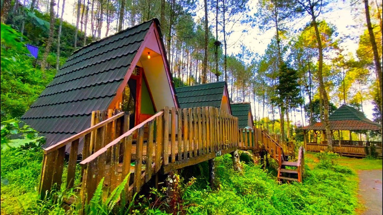 Telomoyo Nature Park: Pesona Alam Jawa Tengah yang Menakjubkan